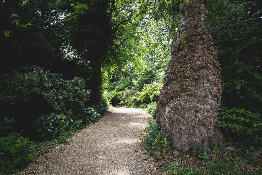 Woodland Walk