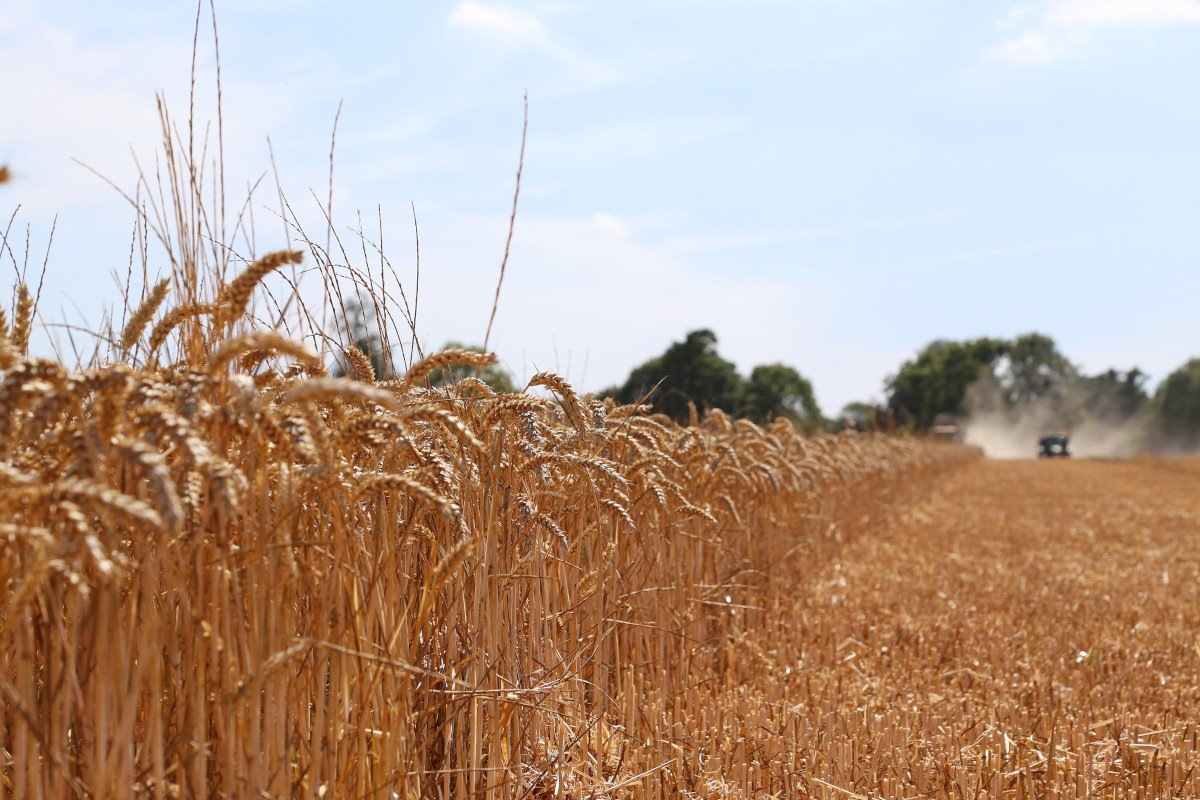 Harvest