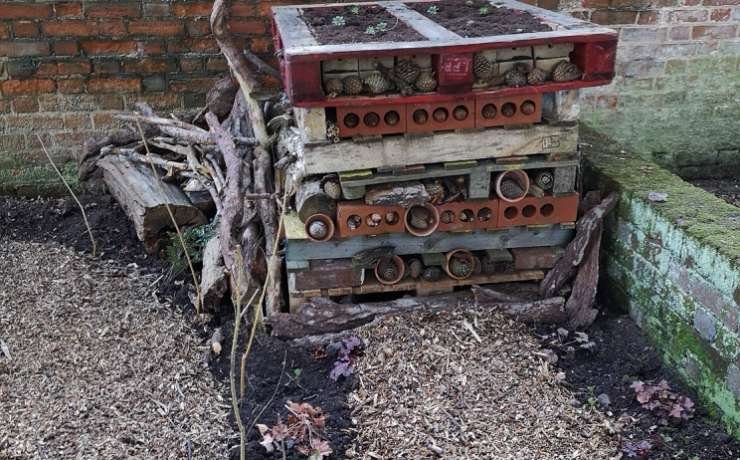 Our Bug Hotels are open for business!