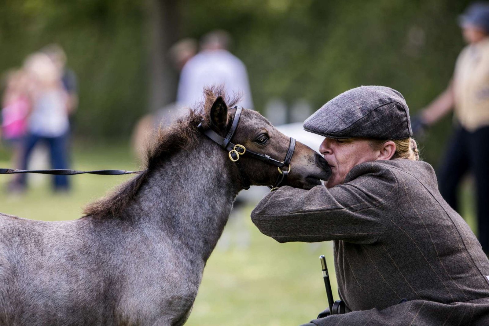 Kent County Show Facebook Competition