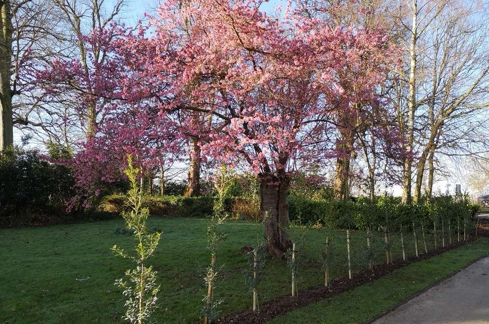 Bursting into Spring!