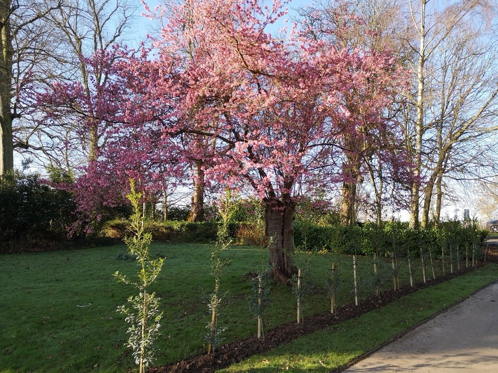Bursting into Spring!