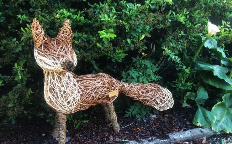 New arrivals to Belmont
