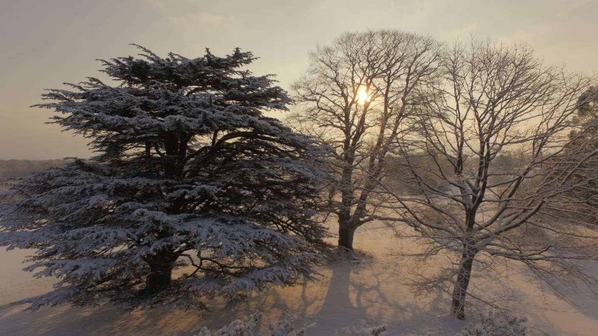Belmont in the Snow