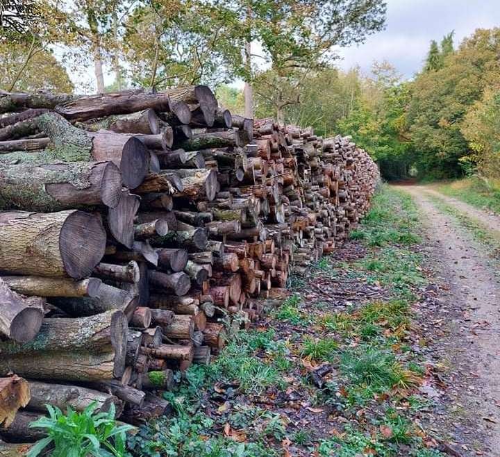Christmas Firewood Deliveries 2022