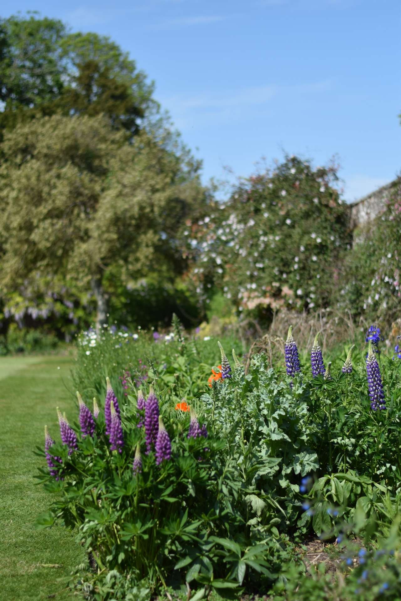 Walled Garden Border