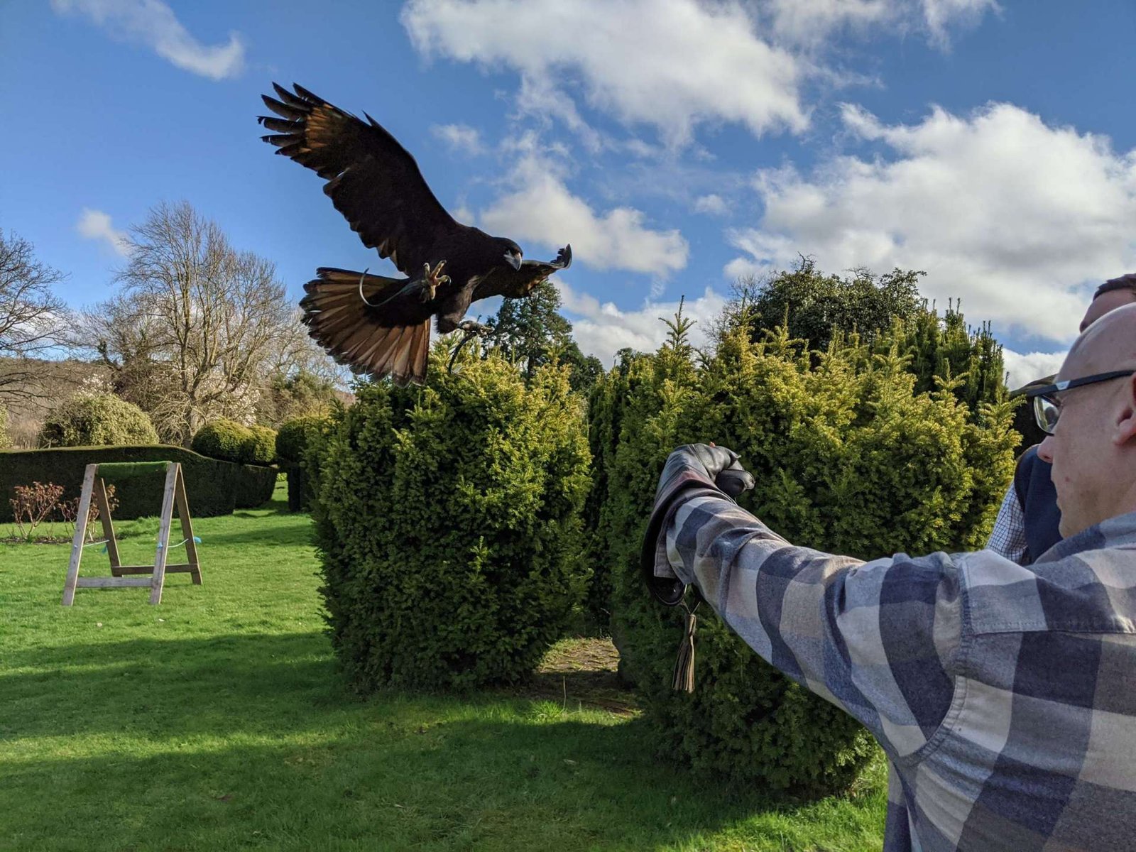 Joe's Bows Falconry