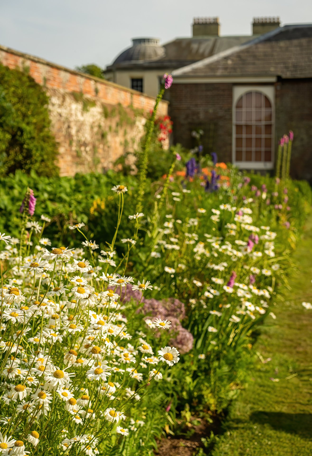Summer Border