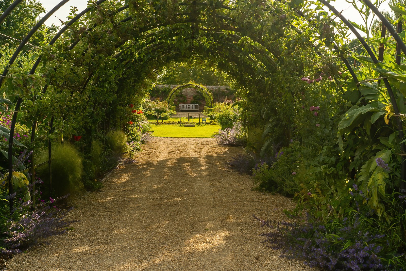 Kitchen Garden